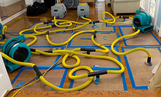 Professional Sewage Cleanup technician working in Hoboken, NJ